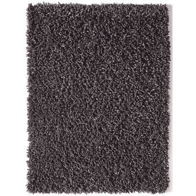 Maine Rug Fossil 1