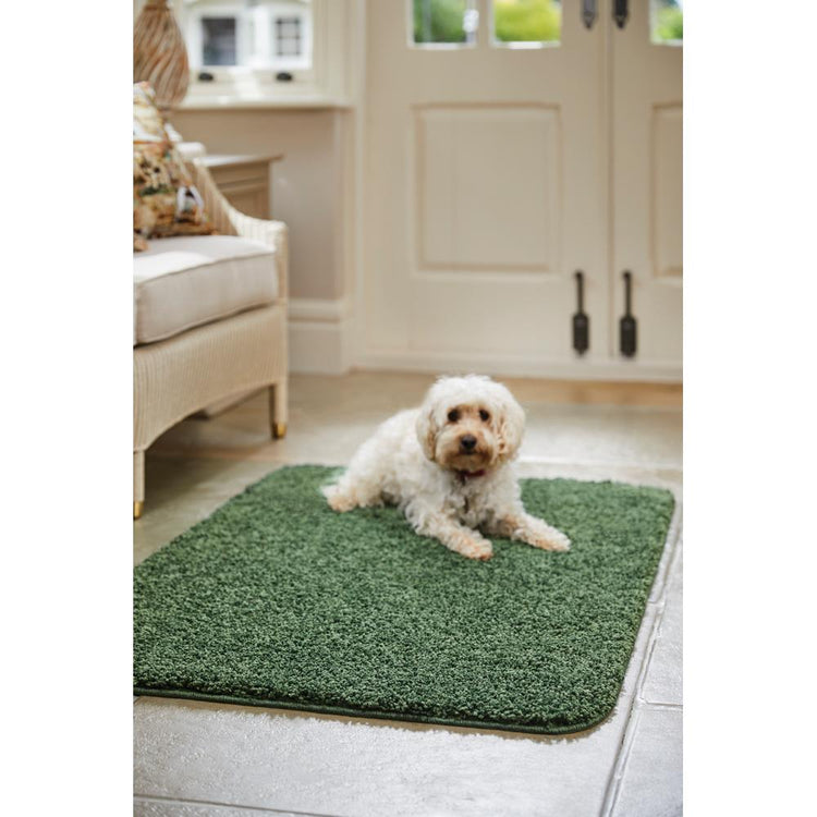 Forest Green Rug - My Rug