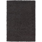 Union Rug Fossil