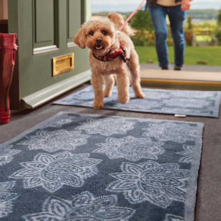 A flowered mat at the front door with a dog walking over it